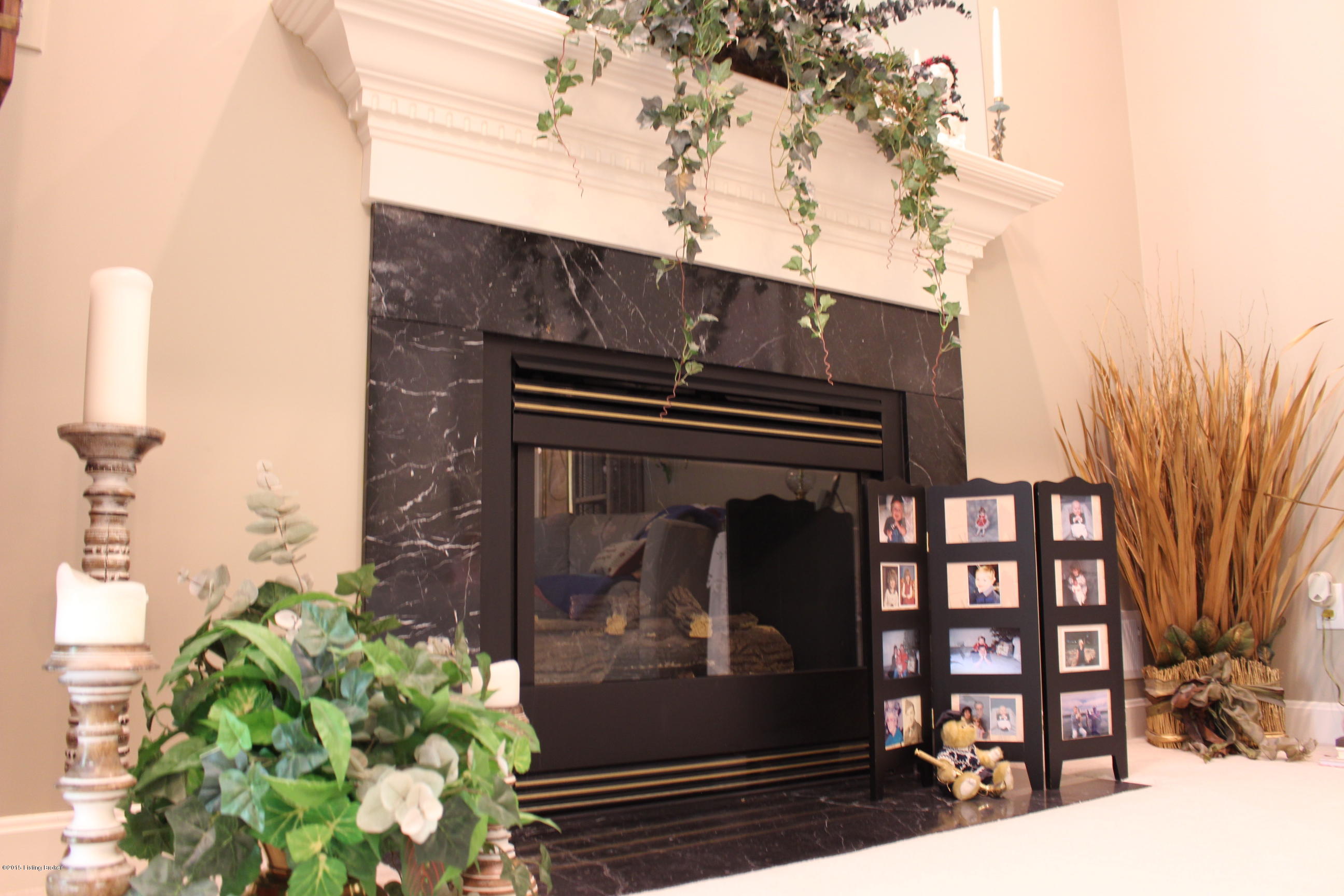 9715 Broad Run Road Louisville, KY 40299 - Photo 43 of 78 Fireplace master