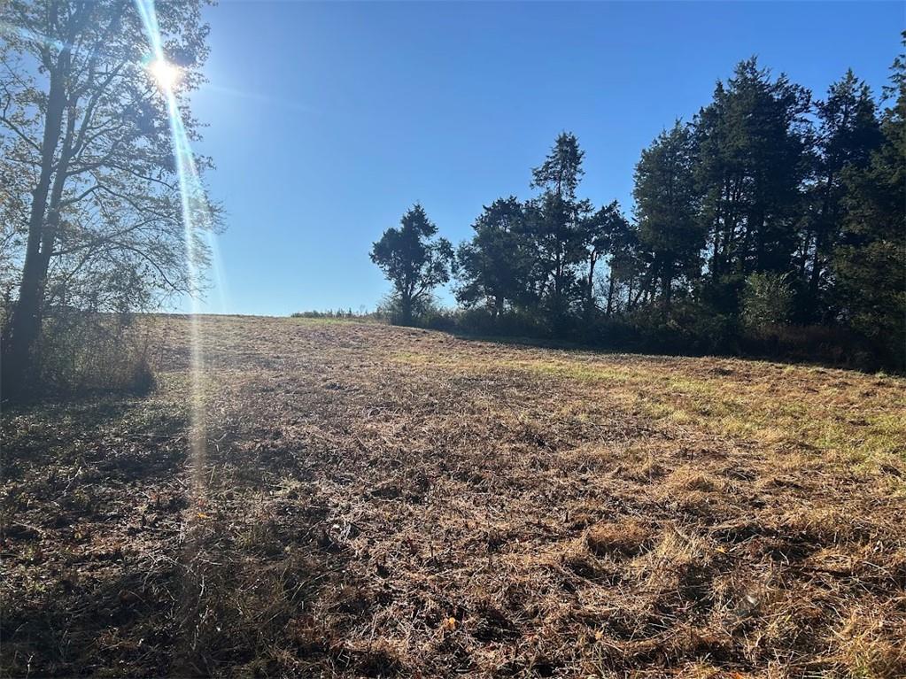 0 Old Columbus Road Bowdon, GA 30108 - Photo 24 of 26