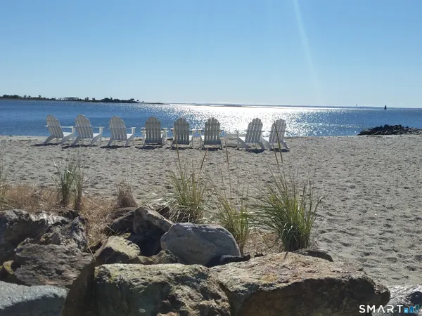 a view of a garden with a building in the background