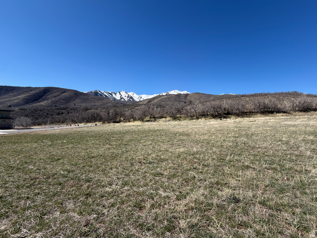 St, Unit 14 Springville, UT 84663 - Photo 6 of 6