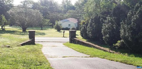 a view of a park with large trees