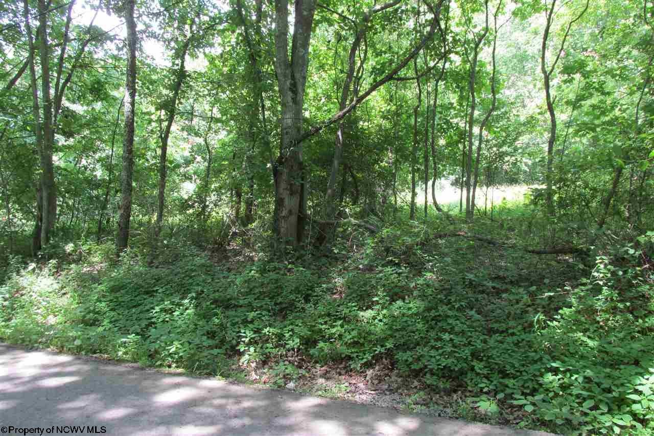 38.458-acres Hammond Road Fairmont, WV 26554 - Photo 2 of 6 Gallery Image 2