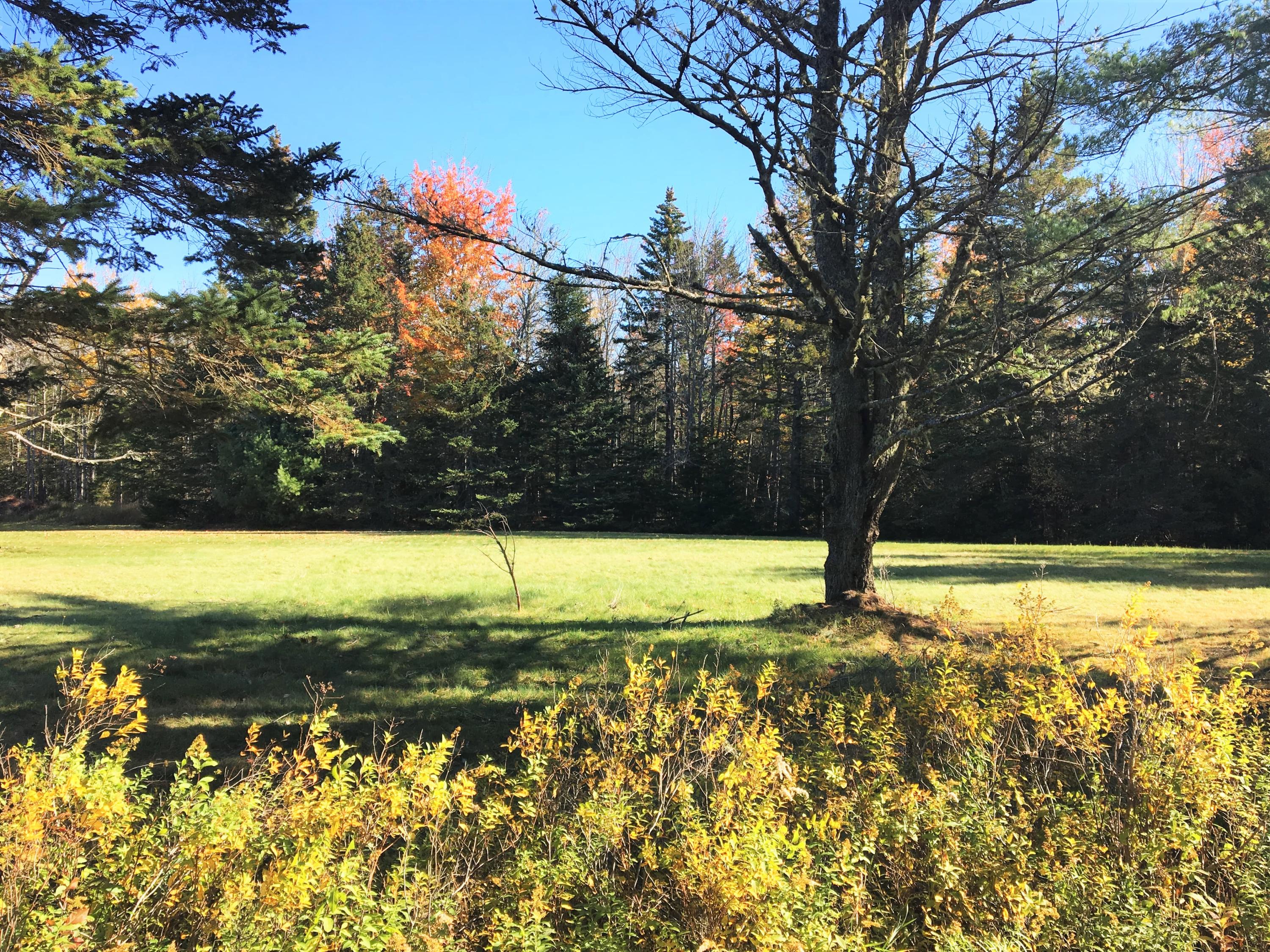 0 Map 109 Road Hancock, ME 04640 - Photo 1 of 11 72671615_942452662788563_186103573481573