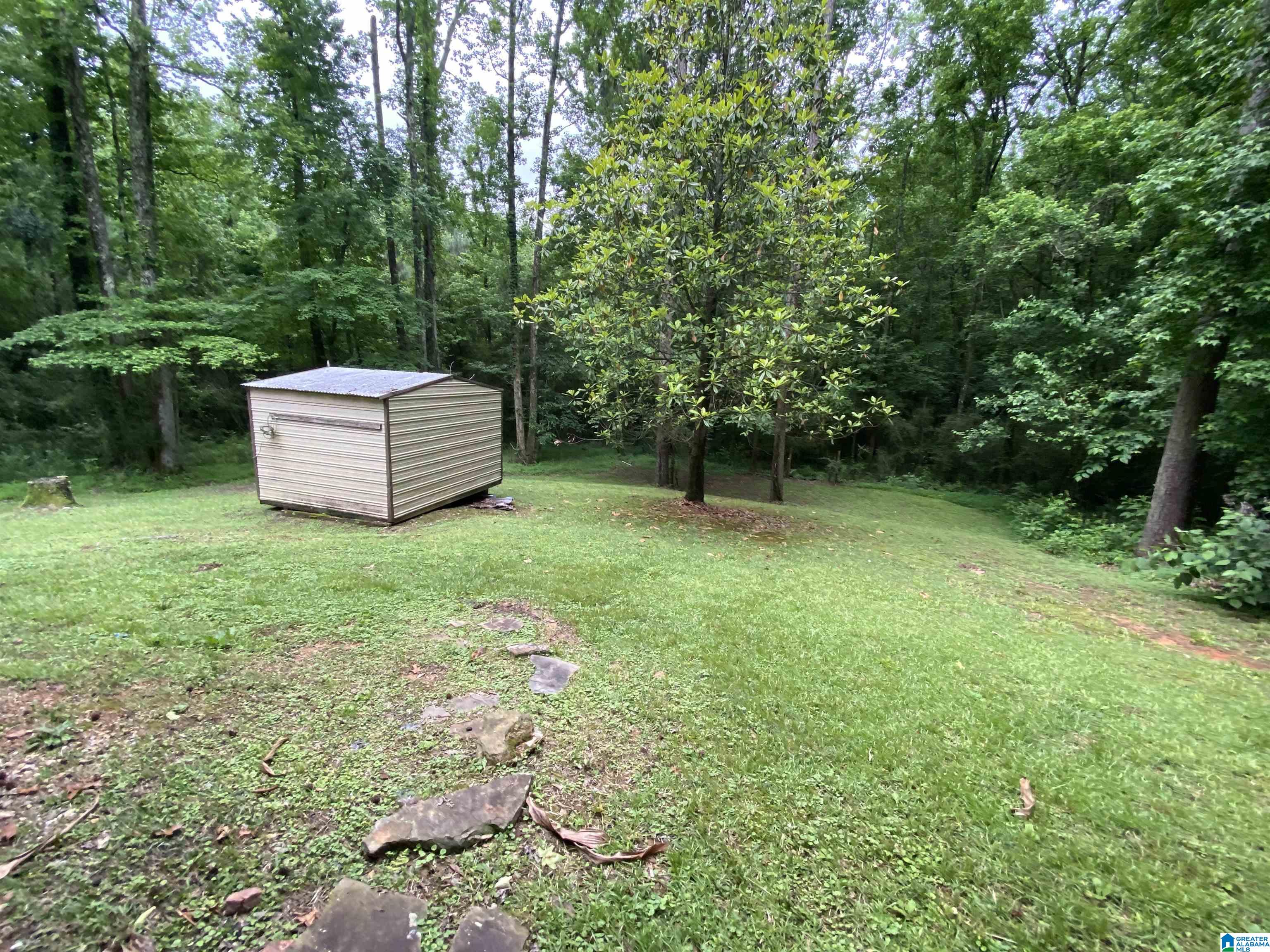 10031 County Line Road Dora, AL 35062 - Photo 39 of 39