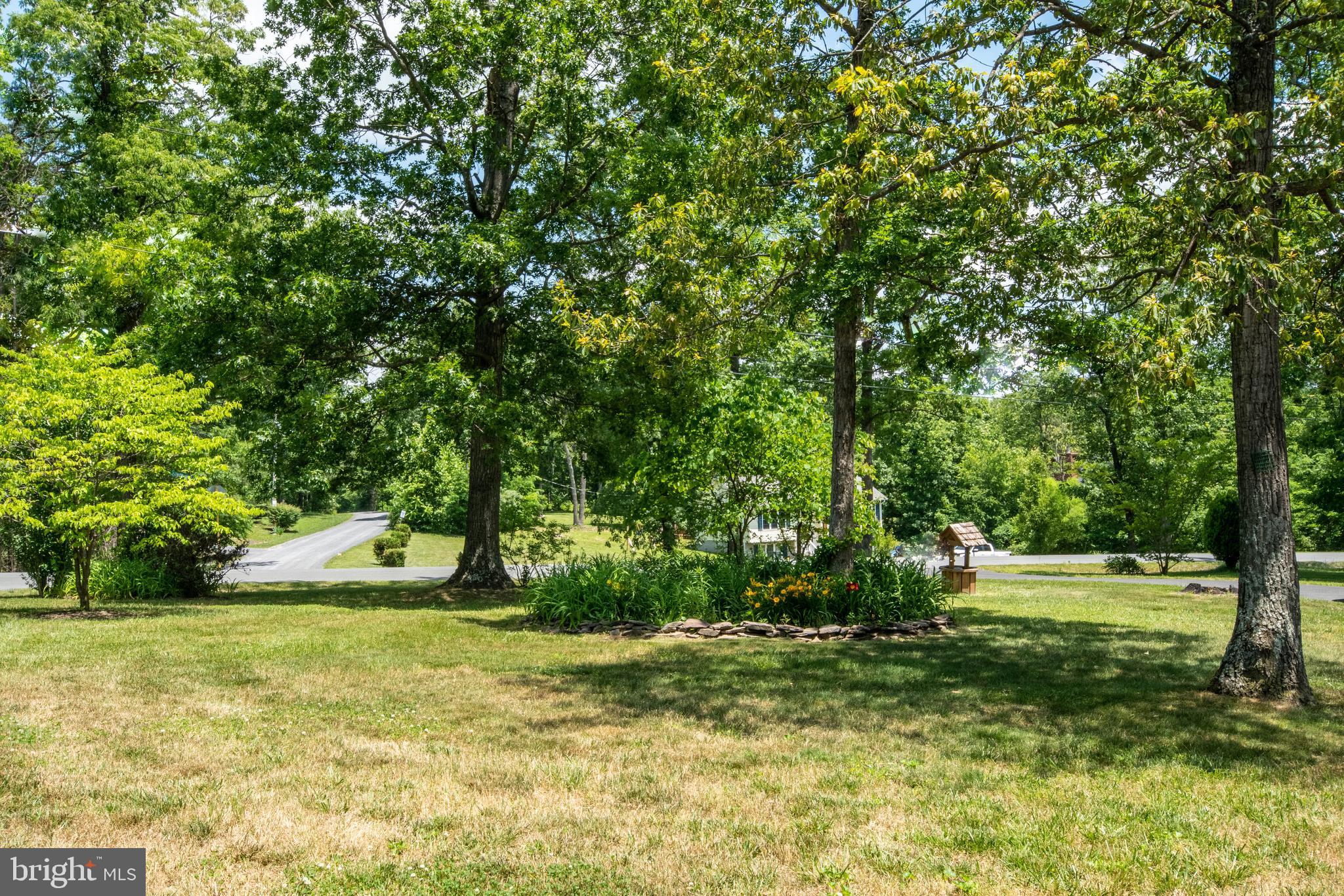 803 Lower Valley Road Strasburg, VA 22657 - Photo 2 of 34 Front yard