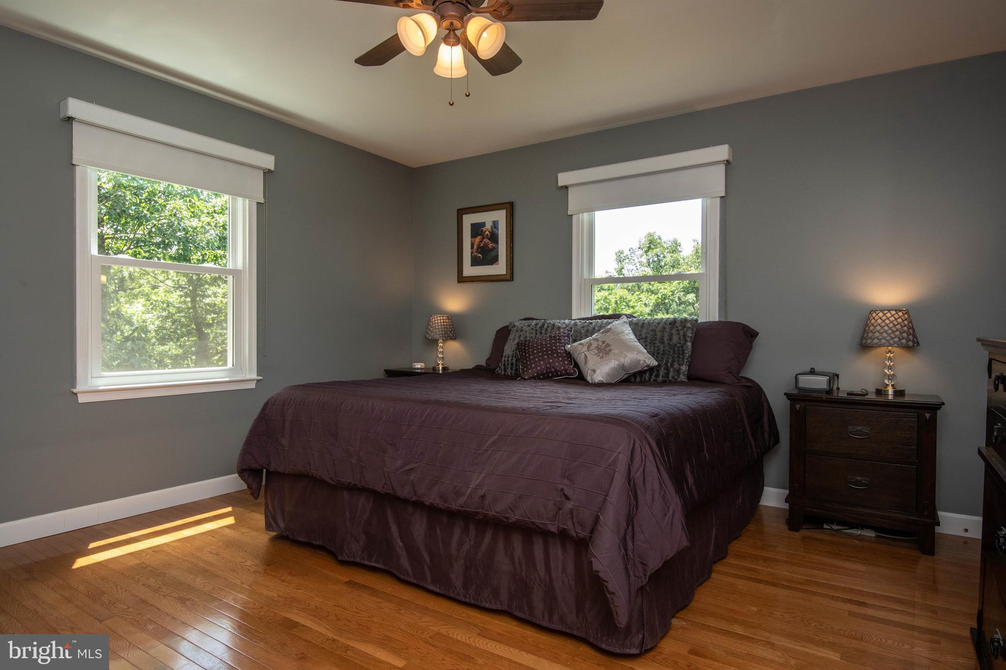 803 Lower Valley Road Strasburg, VA 22657 - Photo 16 of 34 Master Bedroom