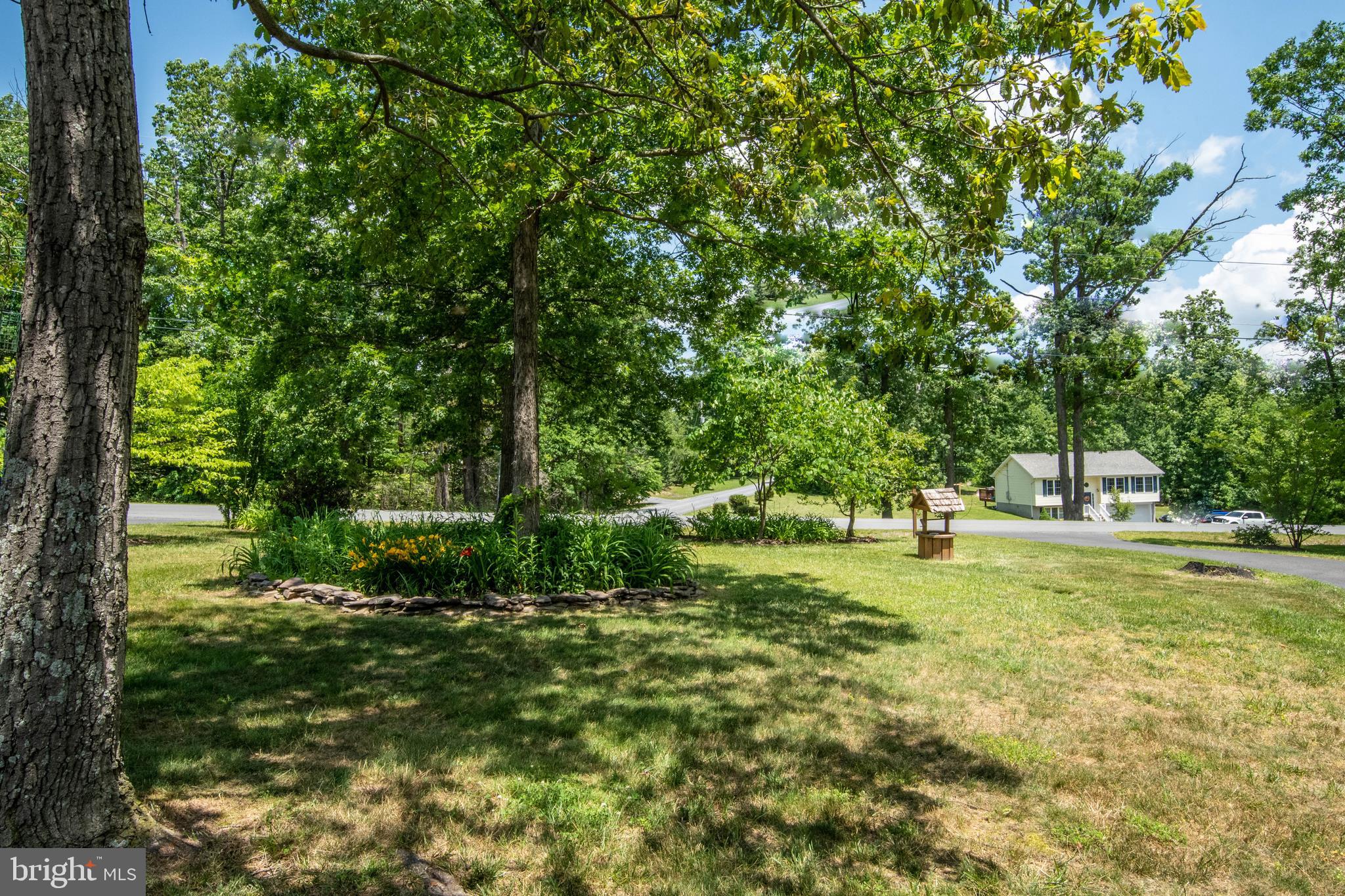 803 Lower Valley Road Strasburg, VA 22657 - Photo 3 of 34 Another shot of the front yard