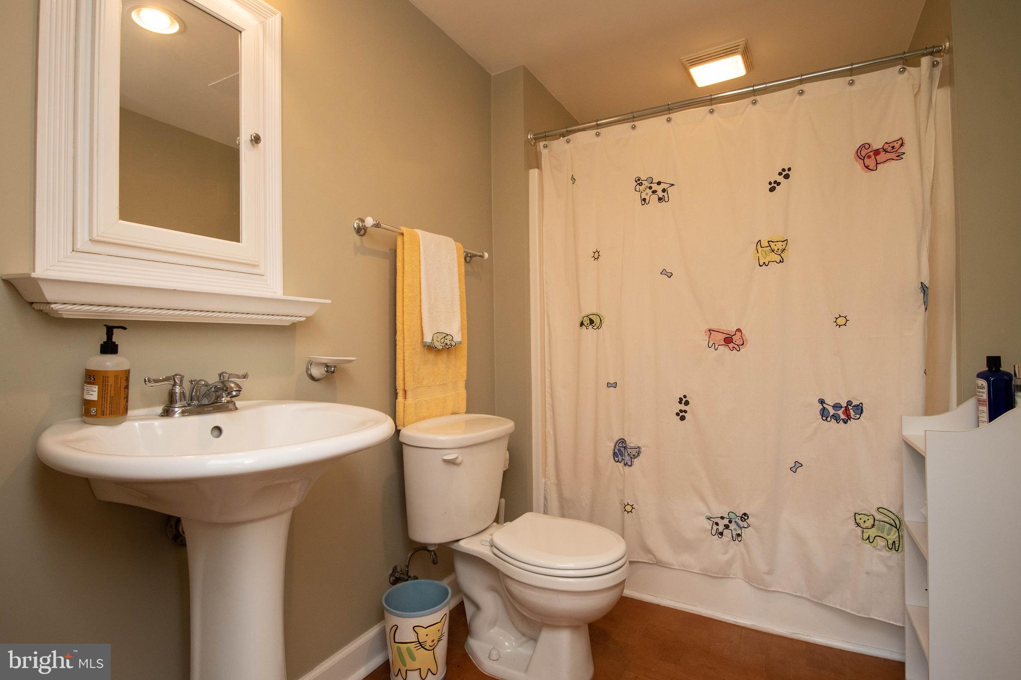 803 Lower Valley Road Strasburg, VA 22657 - Photo 26 of 34 Another full Bathroom downstairs