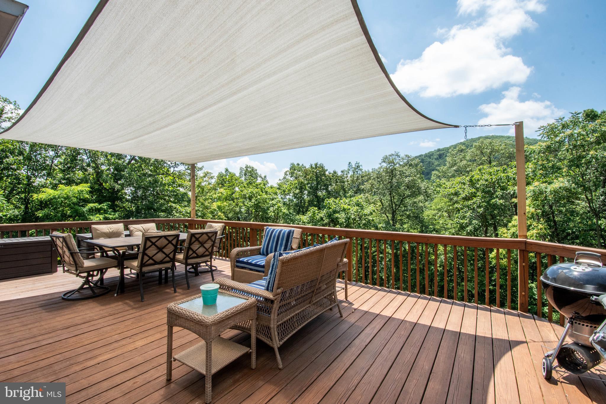 803 Lower Valley Road Strasburg, VA 22657 - Photo 28 of 34 Love this view!