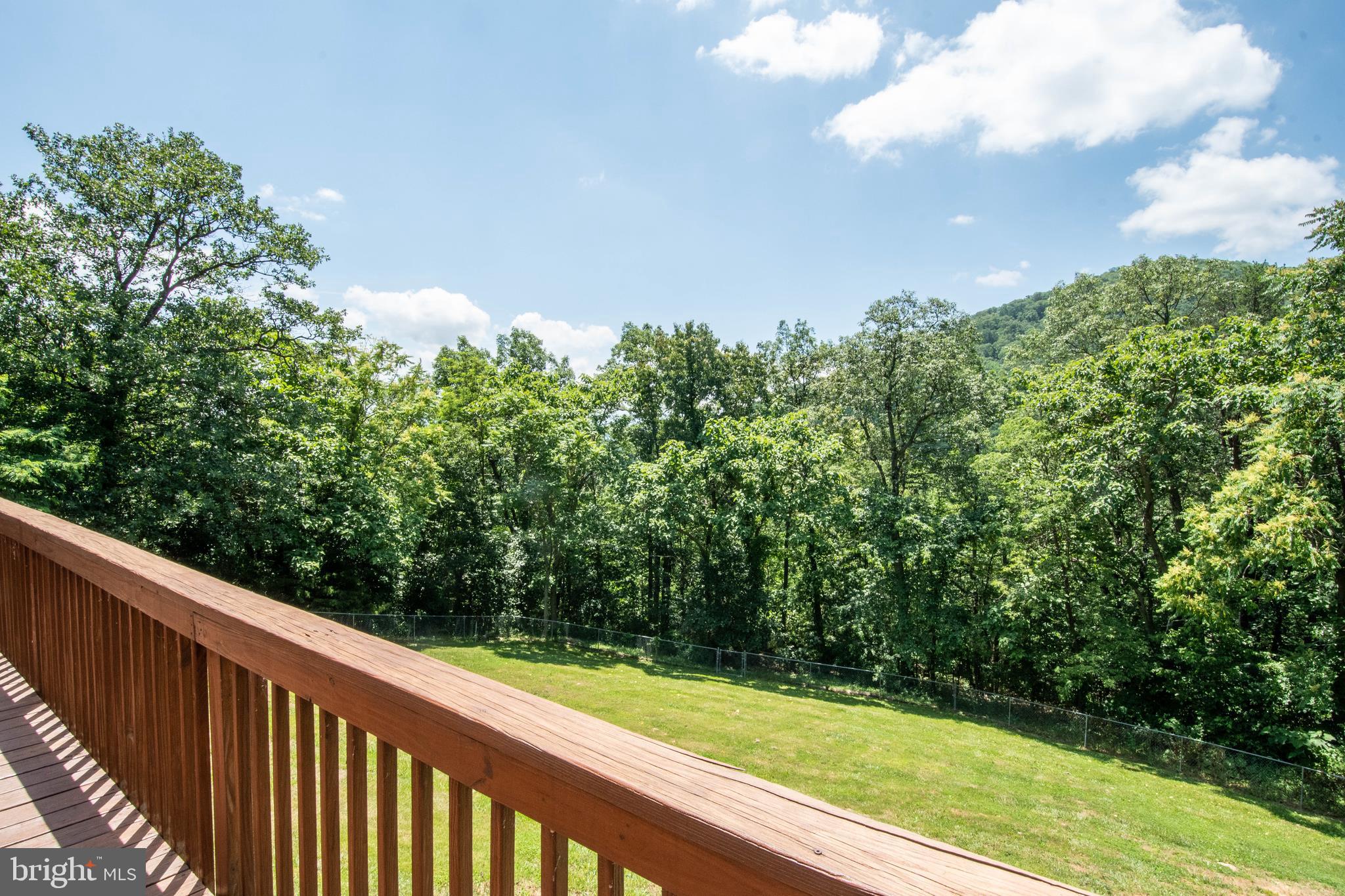 803 Lower Valley Road Strasburg, VA 22657 - Photo 29 of 34 Truly an escape!