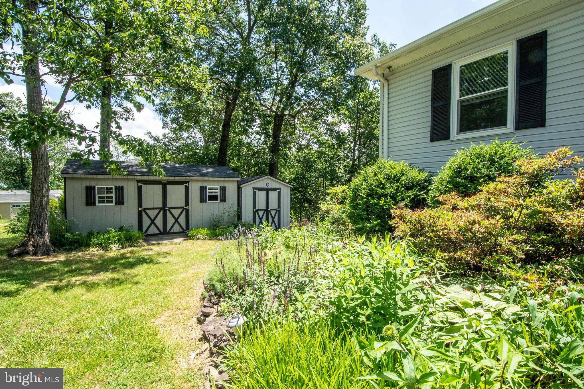803 Lower Valley Road Strasburg, VA 22657 - Photo 4 of 34 Side yard