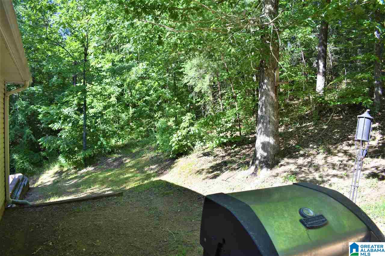 195 Mountain Oaks Vly Road Warrior, AL 35180 - Photo 20 of 23