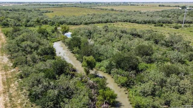 a view of a field with an trees