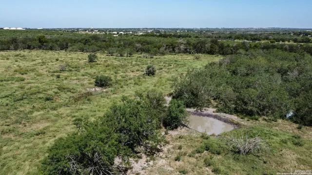 a view of a green field with lots of bushes
