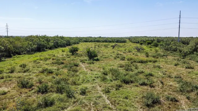a view of a field with a tree in the background