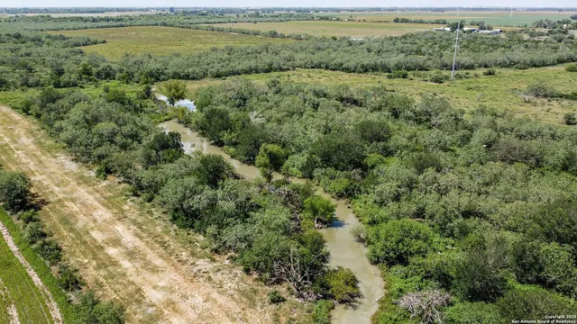 a view of a field with trees in the background