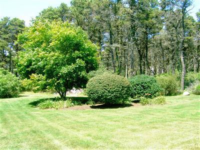 34 Polpis Road Nantucket, MA 02554 - Photo 24 of 24 Additional Photo