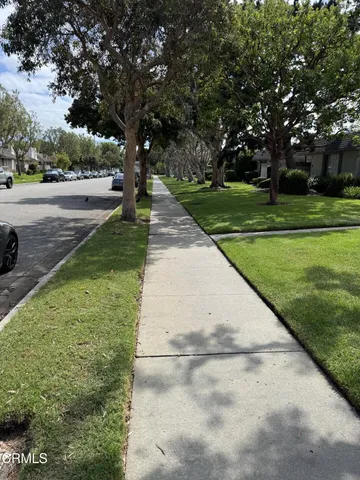 a view of yard with tree