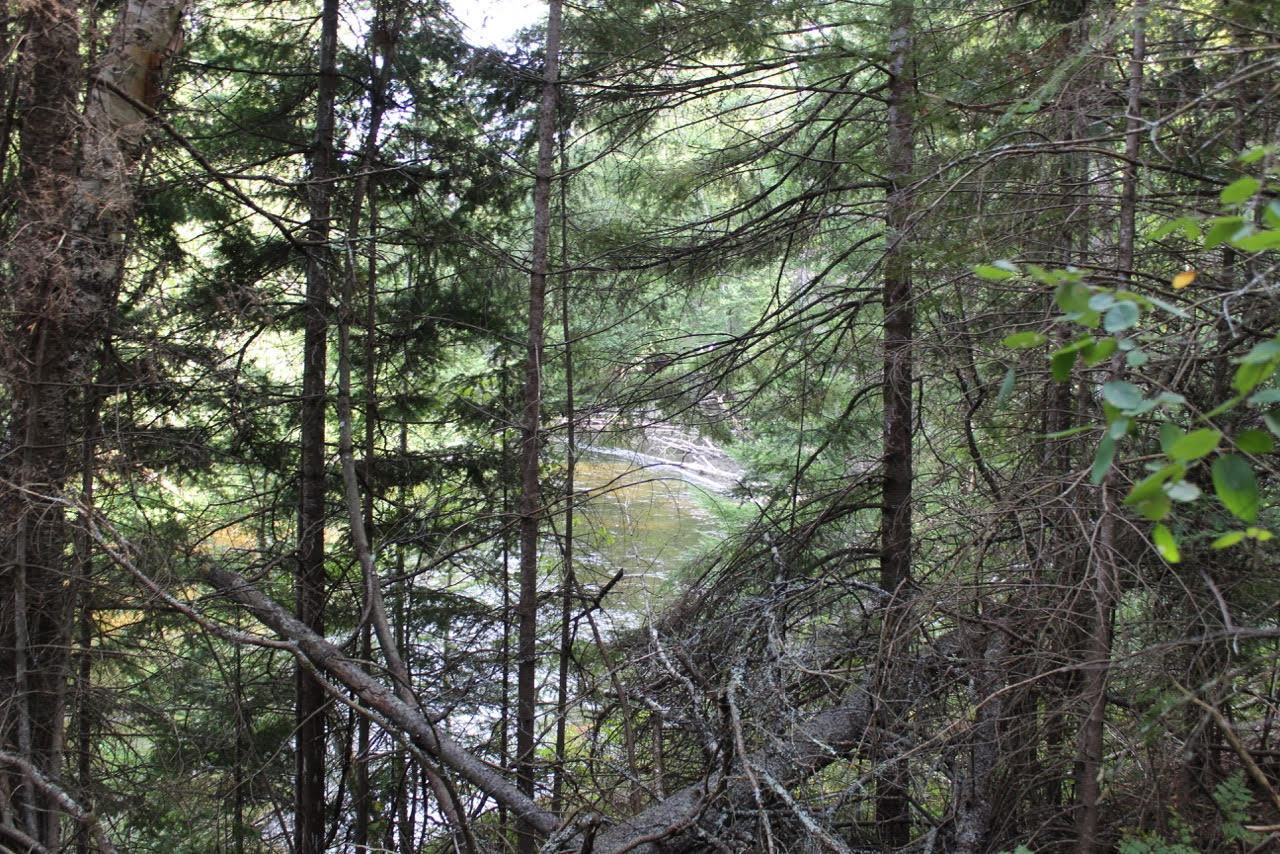 Hi Banks Road Grayling, MI 49738 - Photo 3 of 4 Gallery Image 3