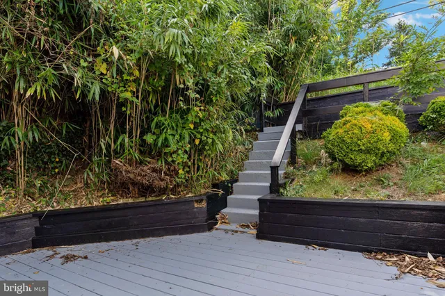 a view of a garden with wooden floor