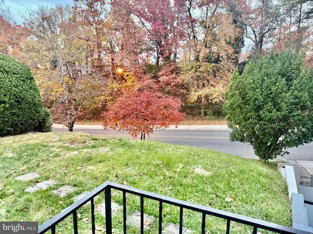 a view of an house with backyard space and tree