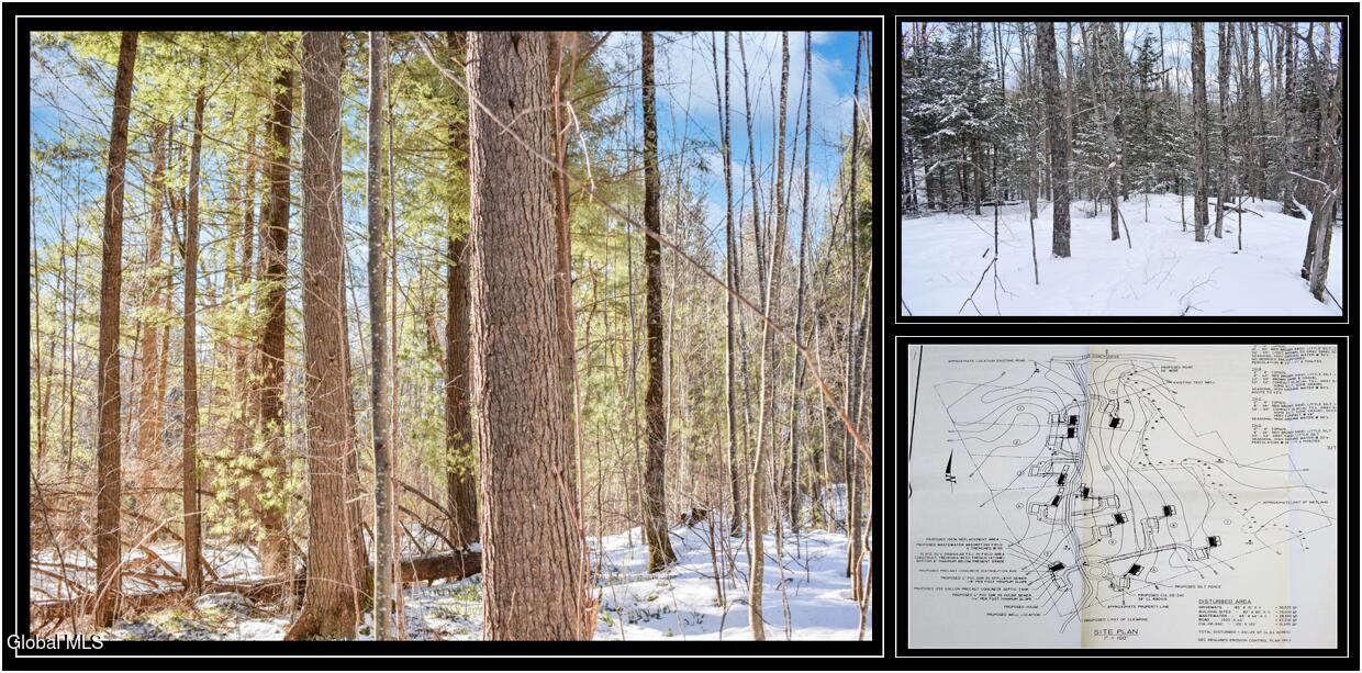 ADK Woods Lot 62 Cover2