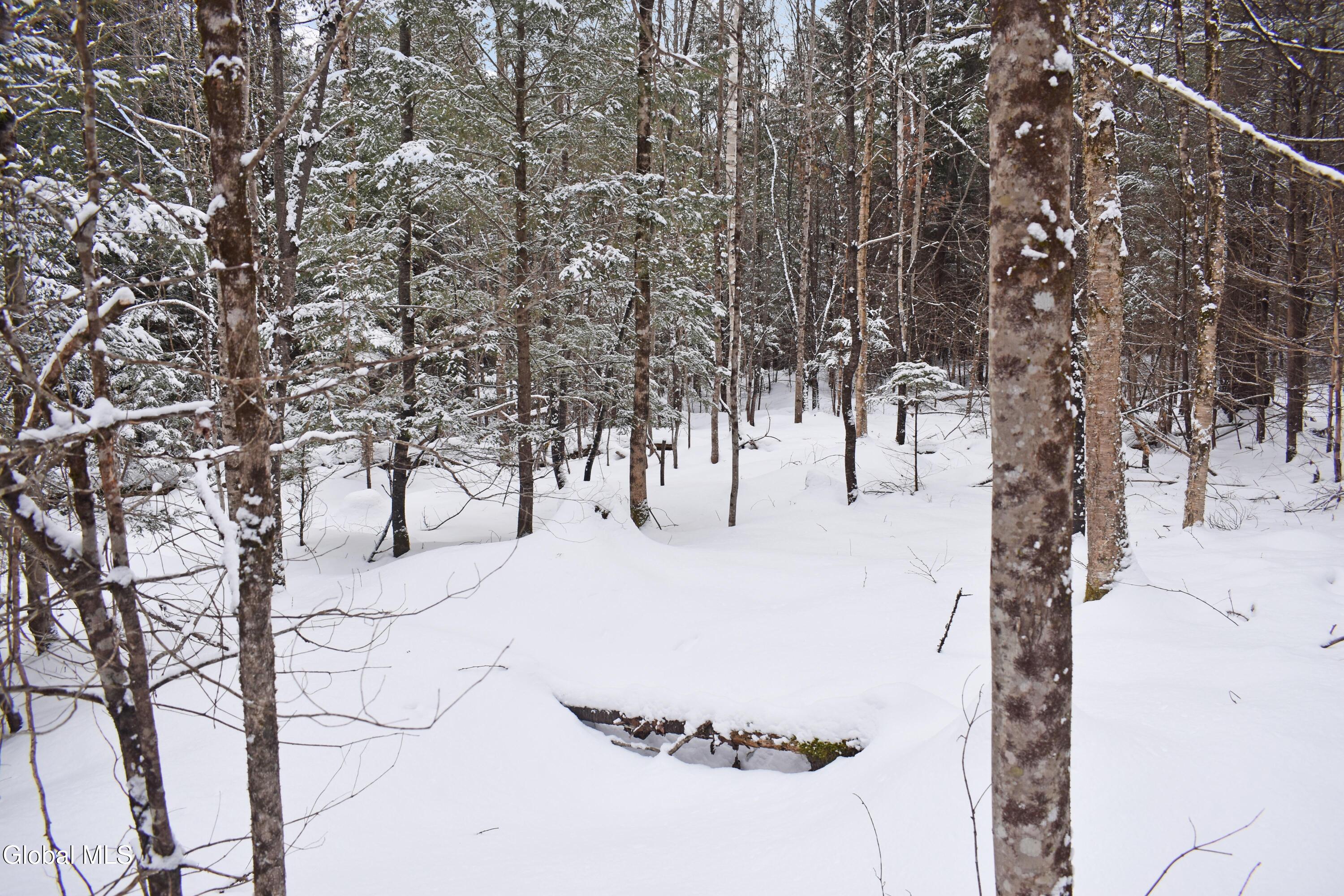 62 Carriage Knolls Road Chester, NY 12817 - Photo 11 of 23 DSC_0385