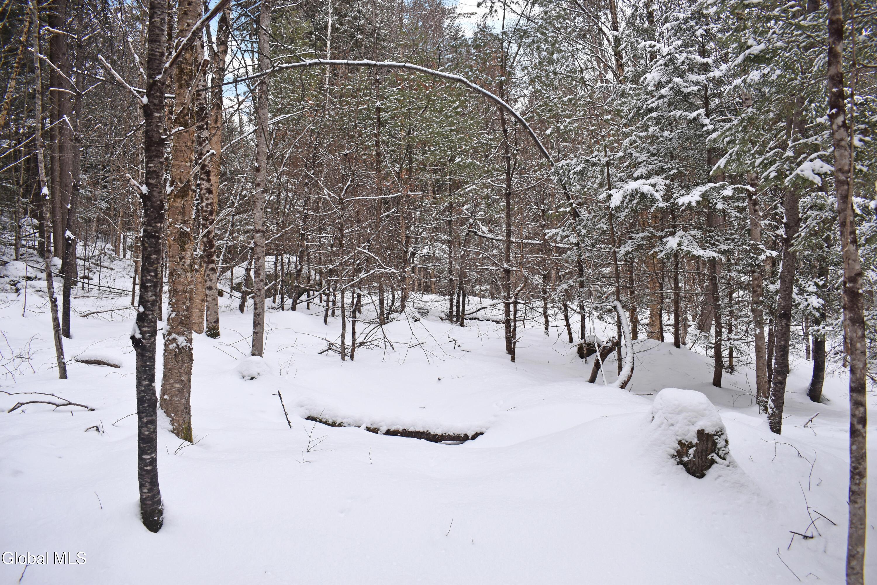 62 Carriage Knolls Road Chester, NY 12817 - Photo 12 of 23 DSC_0386