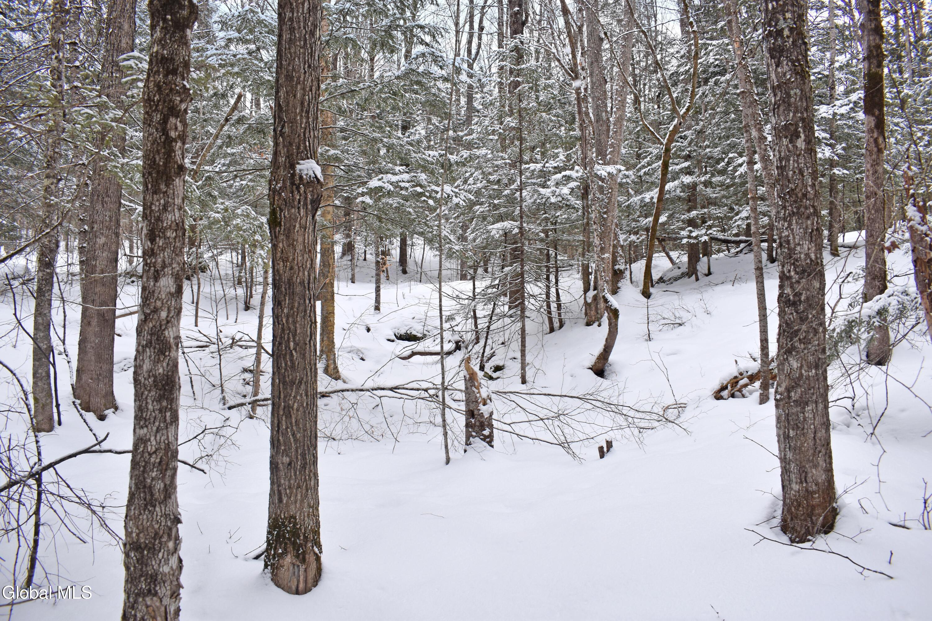 62 Carriage Knolls Road Chester, NY 12817 - Photo 13 of 23 DSC_0388
