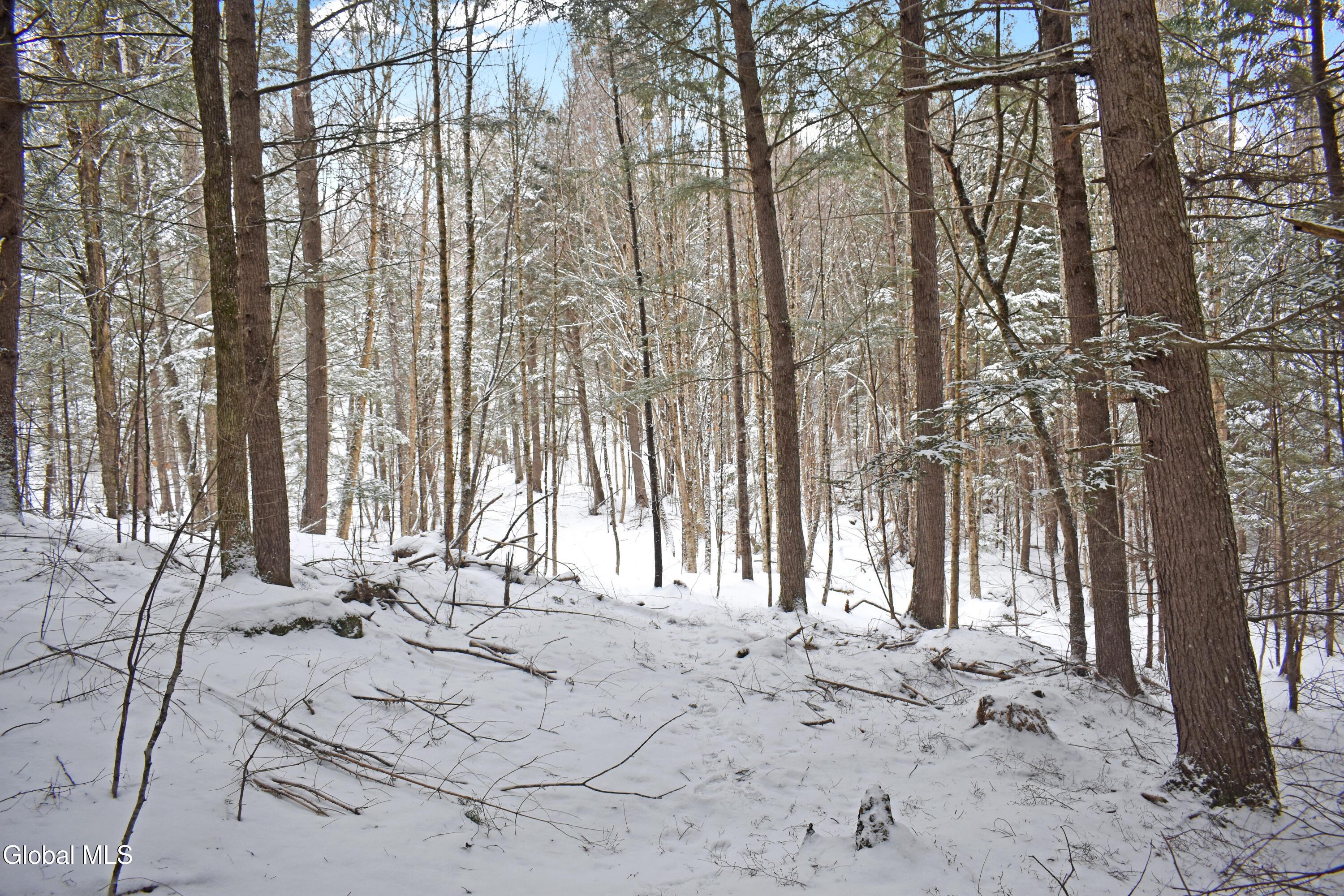 62 Carriage Knolls Road Chester, NY 12817 - Photo 15 of 23 DSC_0390