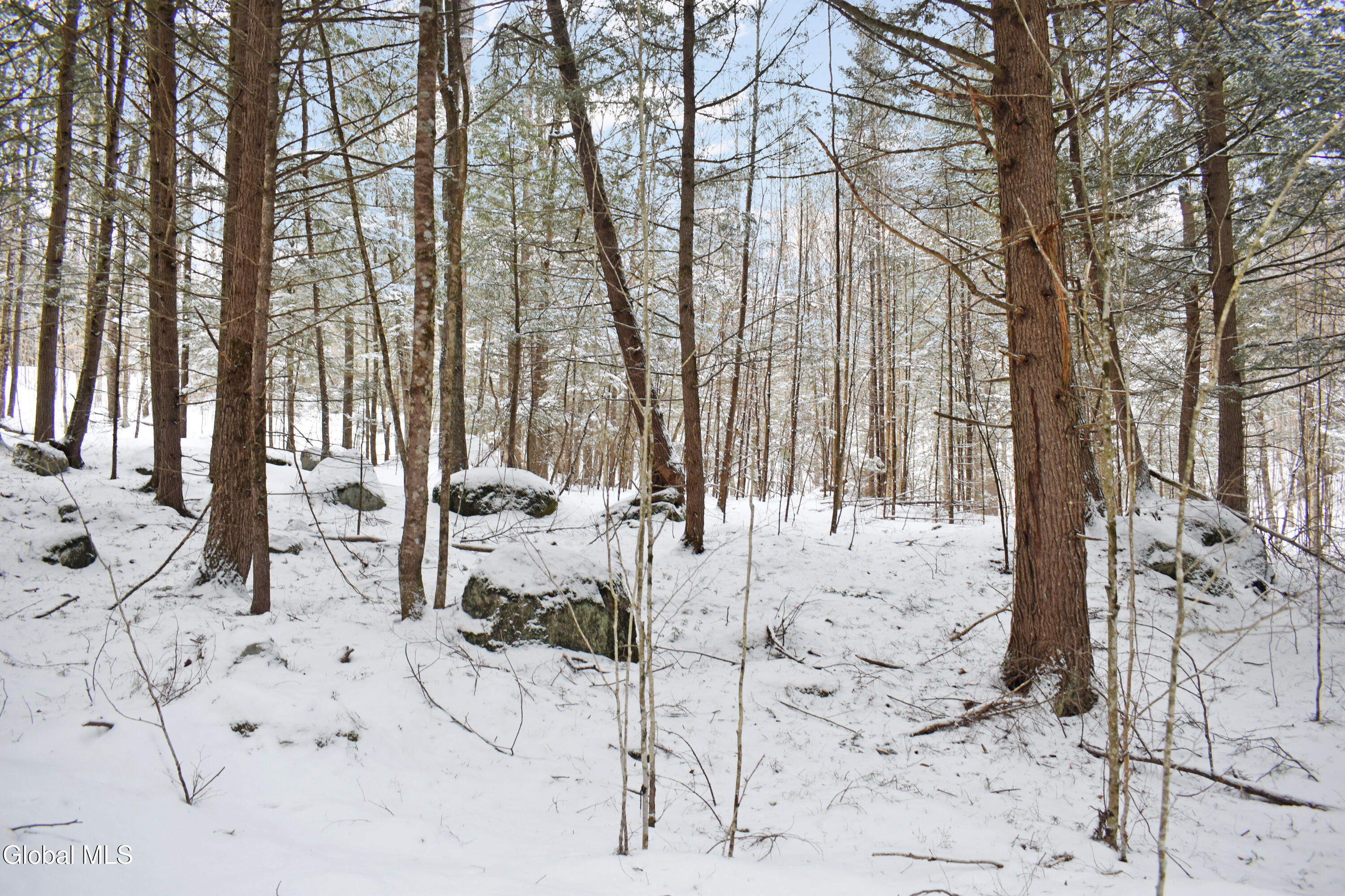 62 Carriage Knolls Road Chester, NY 12817 - Photo 16 of 23 DSC_0393
