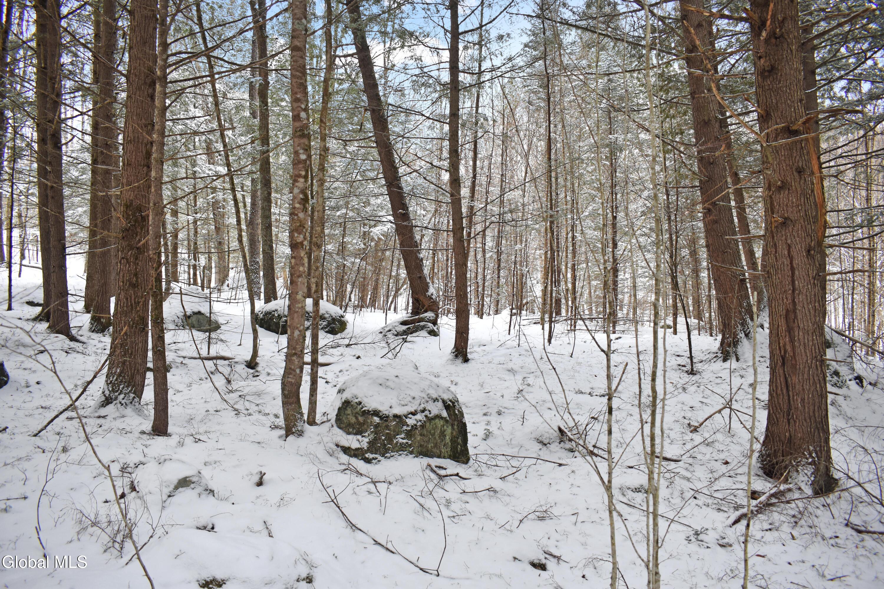 62 Carriage Knolls Road Chester, NY 12817 - Photo 17 of 23 DSC_0394