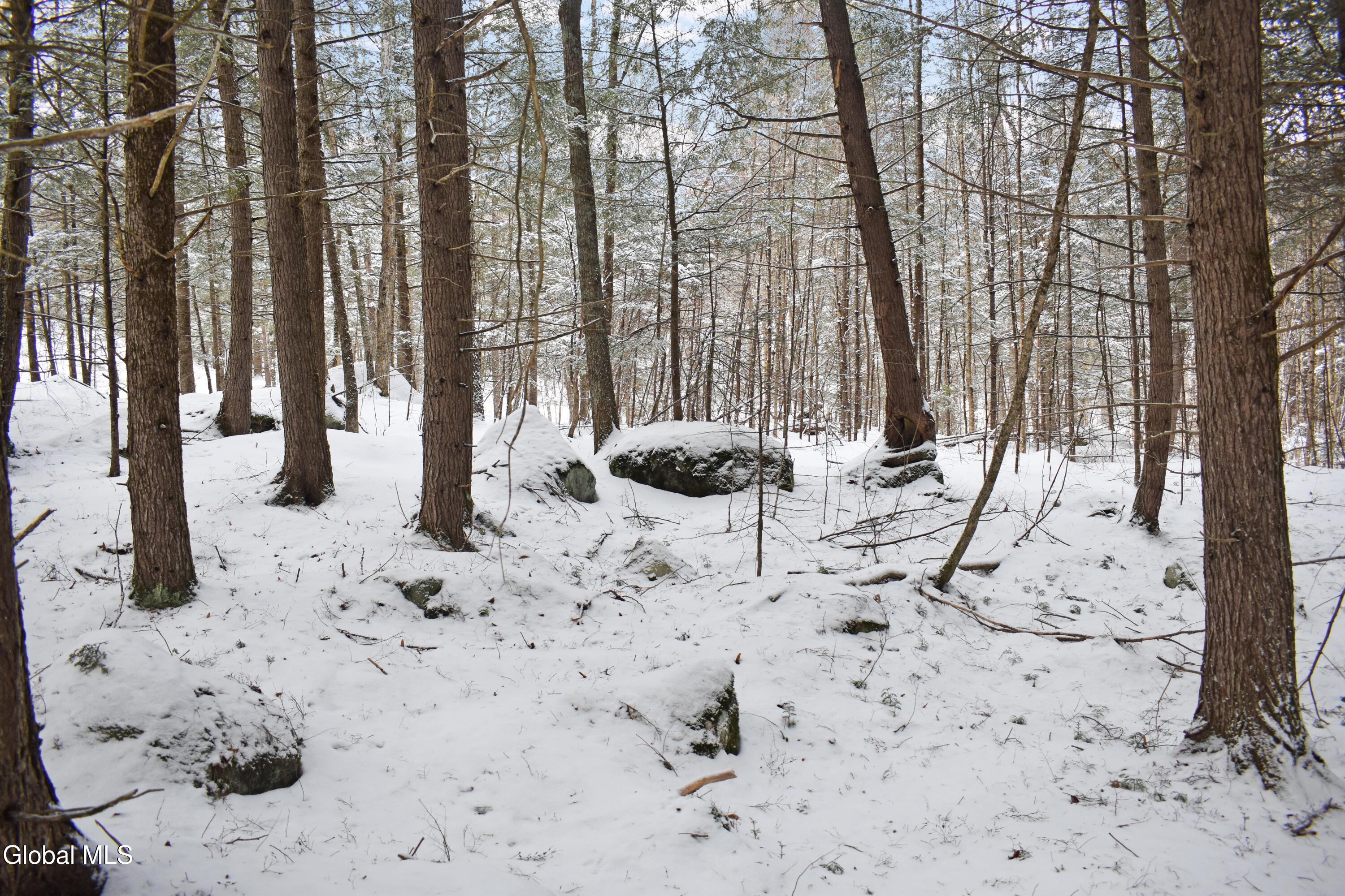 62 Carriage Knolls Road Chester, NY 12817 - Photo 18 of 23 DSC_0395