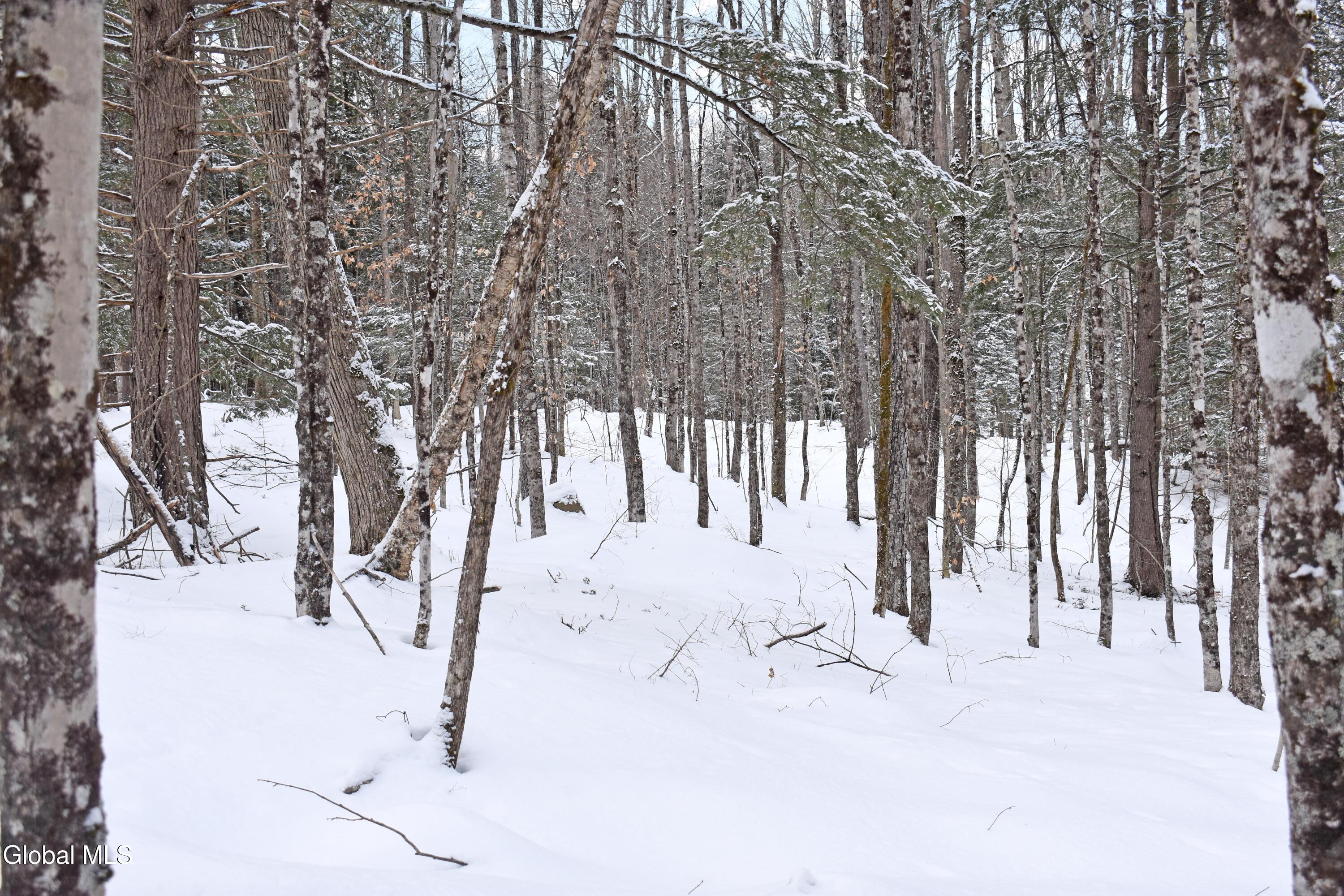 62 Carriage Knolls Road Chester, NY 12817 - Photo 19 of 23 DSC_0397