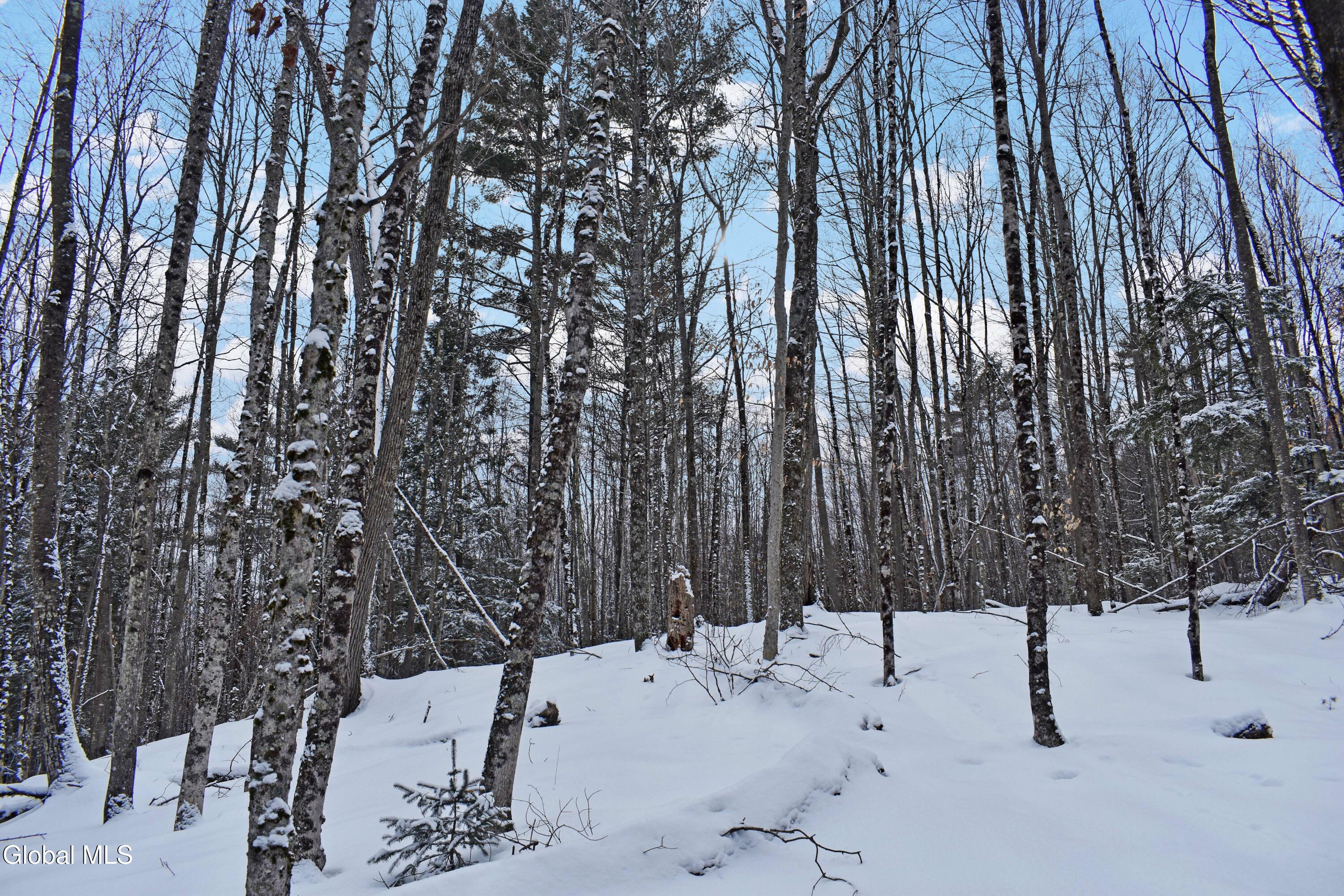 62 Carriage Knolls Road Chester, NY 12817 - Photo 20 of 23 DSC_0398