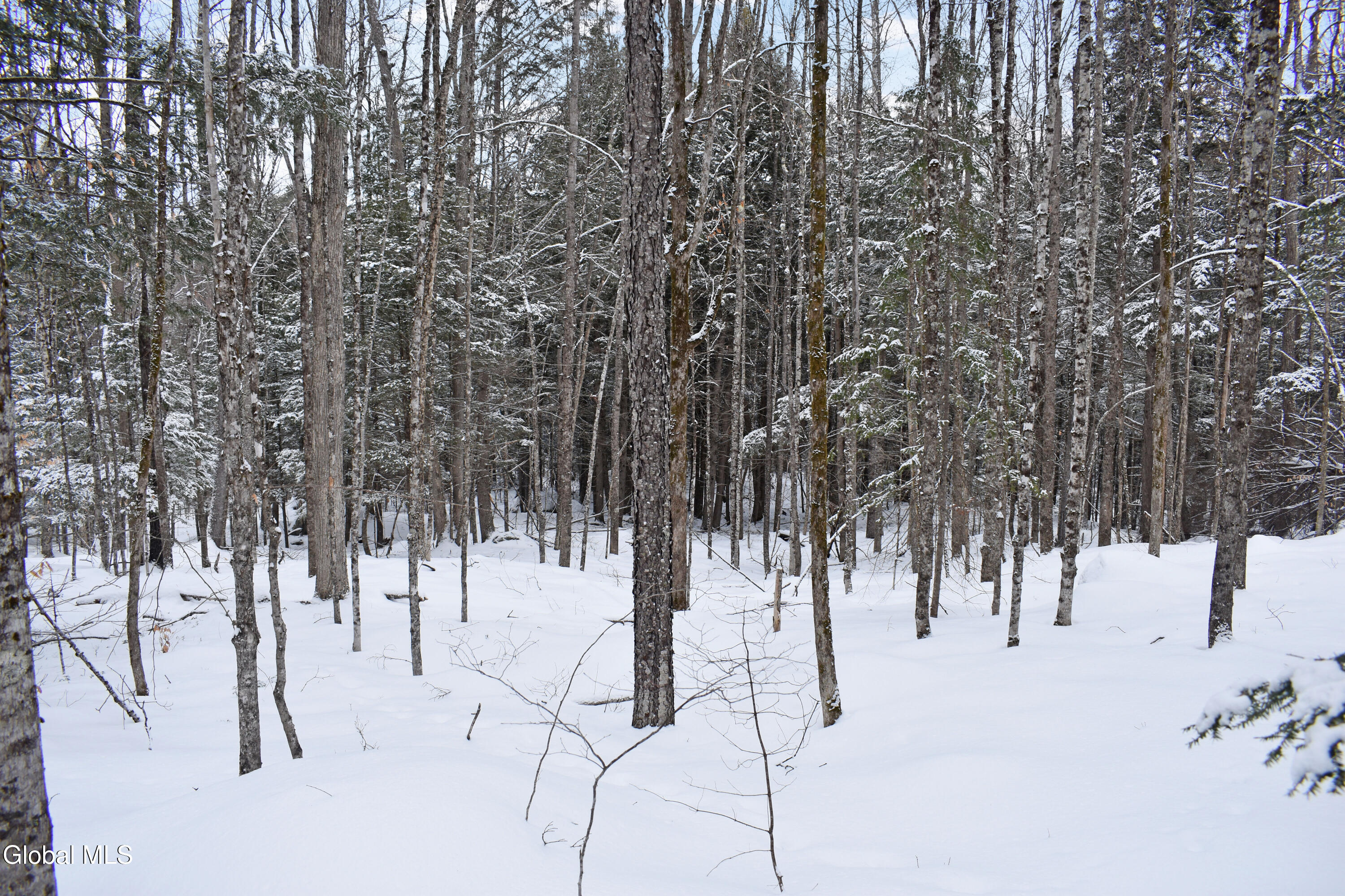 62 Carriage Knolls Road Chester, NY 12817 - Photo 2 of 23 DSC_0399