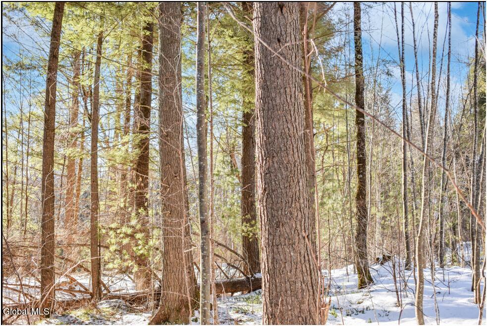 62 Carriage Knolls Road Chester, NY 12817 - Photo 21 of 23 lot 62