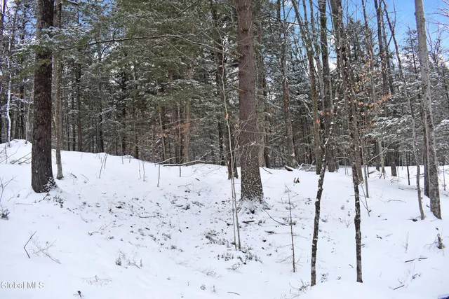 $62,000 | 62 Carriage Knolls Road, Chester, NY 12817