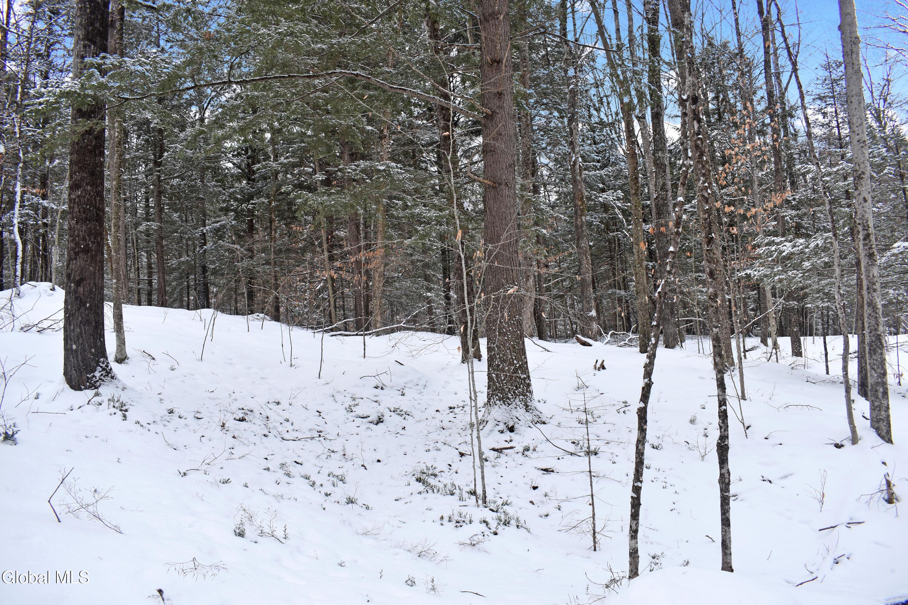 62 Carriage Knolls Road Chester, NY 12817 - Photo 3 of 23 DSC_0400
