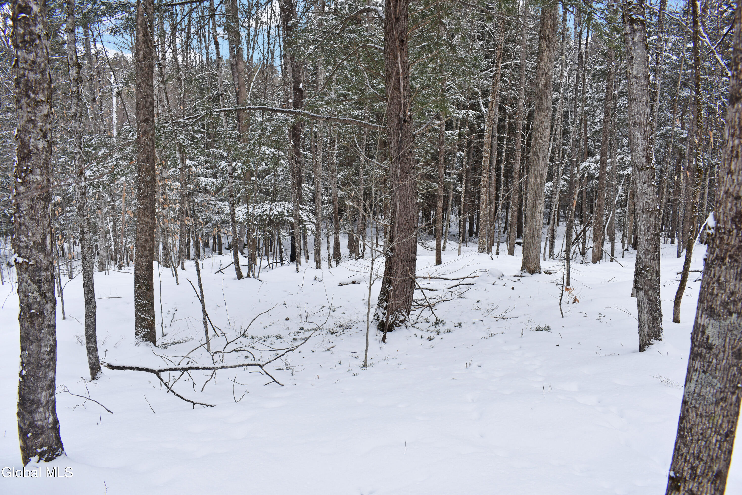 62 Carriage Knolls Road Chester, NY 12817 - Photo 4 of 23 DSC_0401
