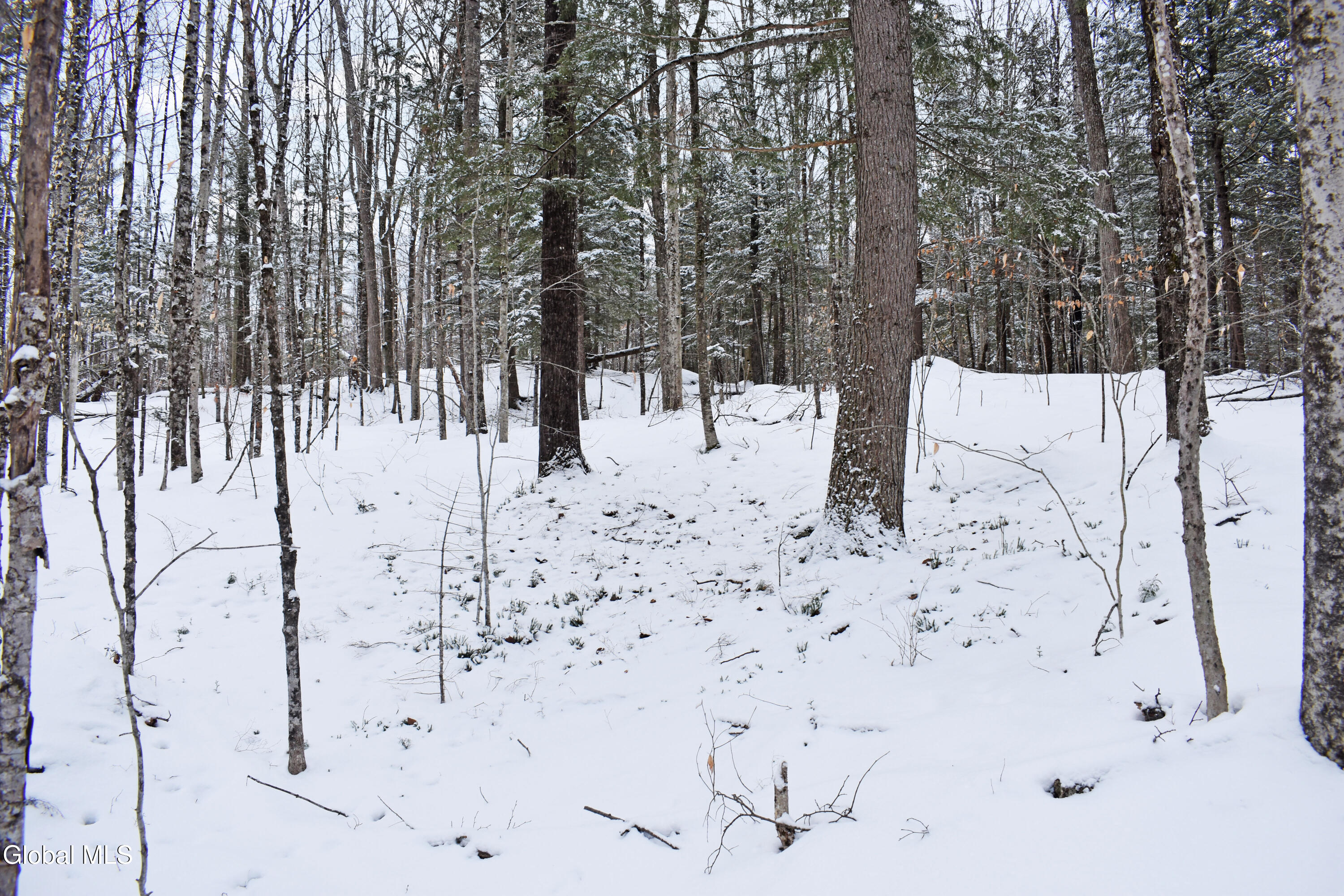 62 Carriage Knolls Road Chester, NY 12817 - Photo 5 of 23 DSC_0402