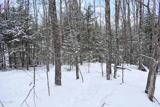 $62,000 | 62 Carriage Knolls Road, Chester, NY 12817