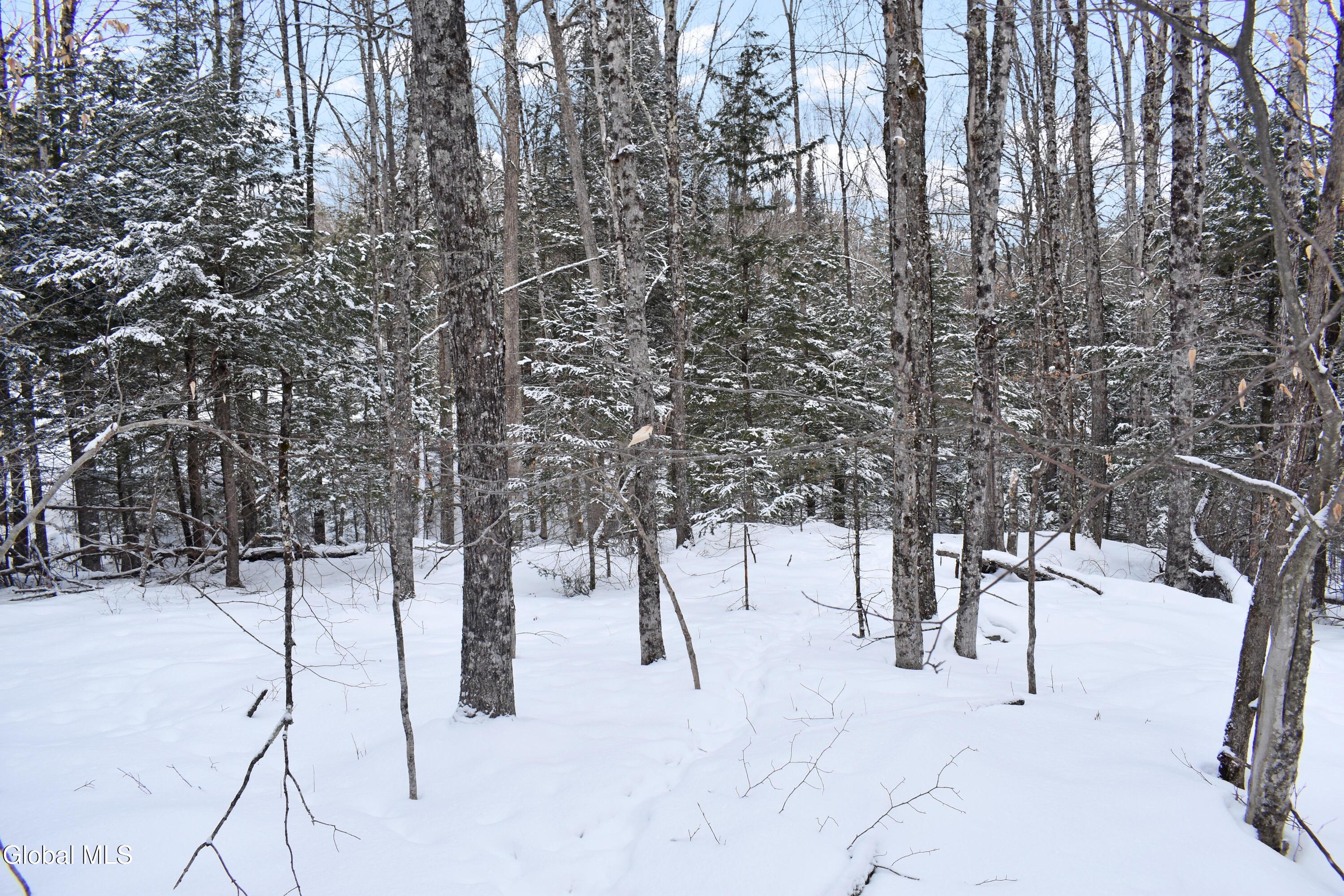 62 Carriage Knolls Road Chester, NY 12817 - Photo 6 of 23 DSC_0403
