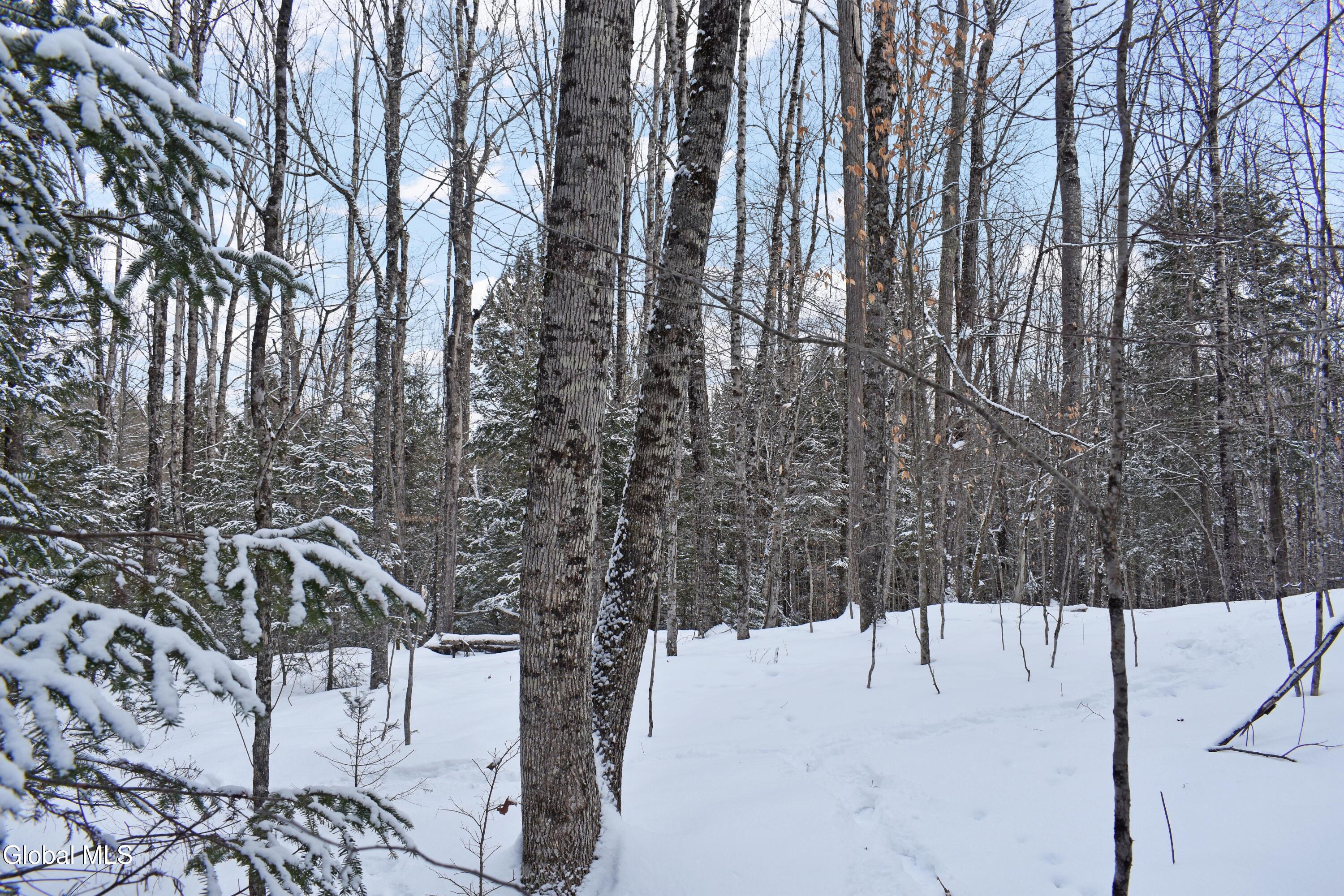 62 Carriage Knolls Road Chester, NY 12817 - Photo 7 of 23 DSC_0404