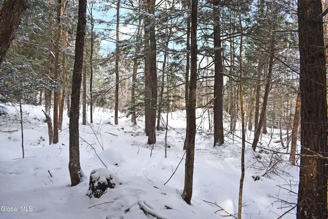 $62,000 | 62 Carriage Knolls Road, Chester, NY 12817