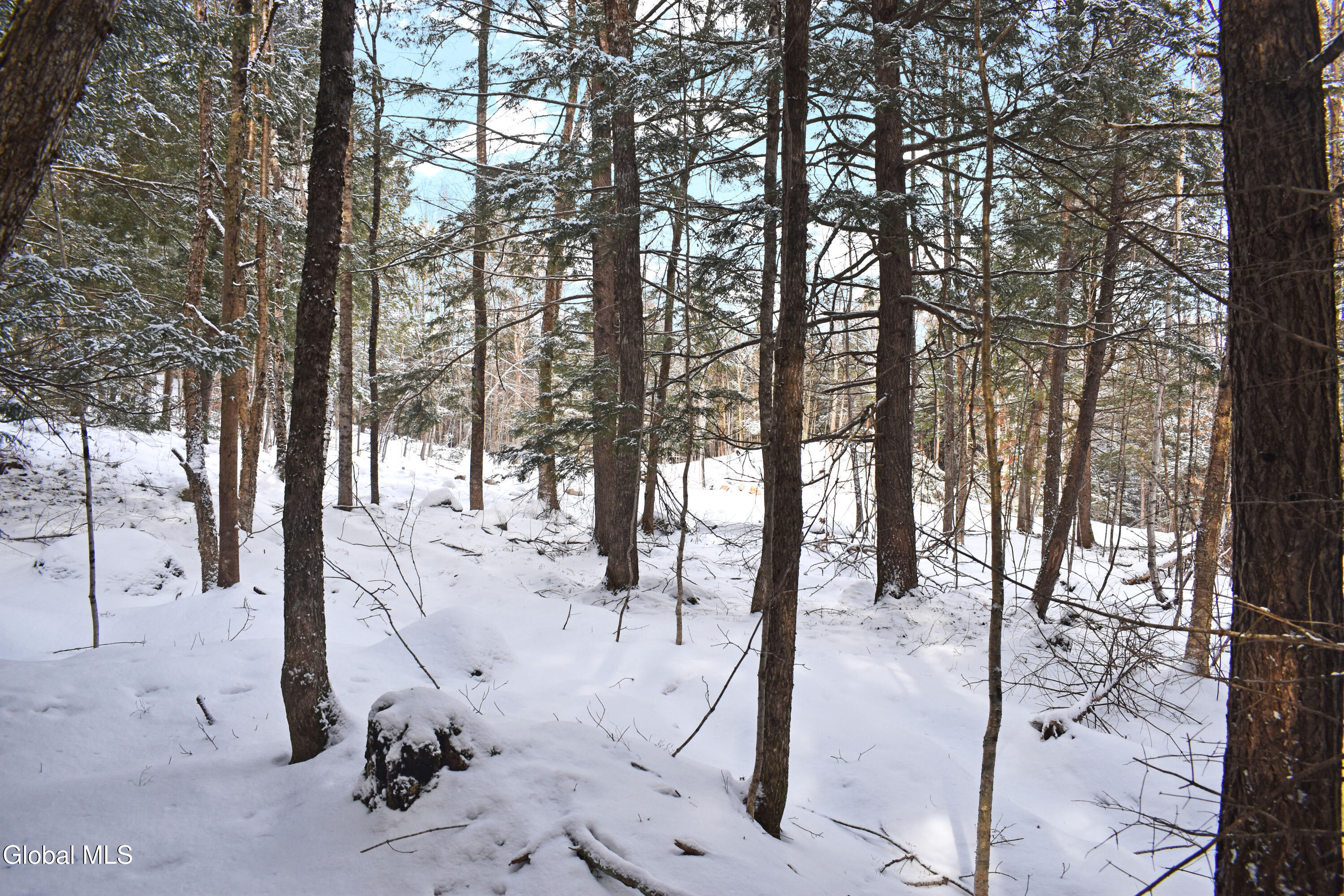 62 Carriage Knolls Road Chester, NY 12817 - Photo 8 of 23 DSC_0405