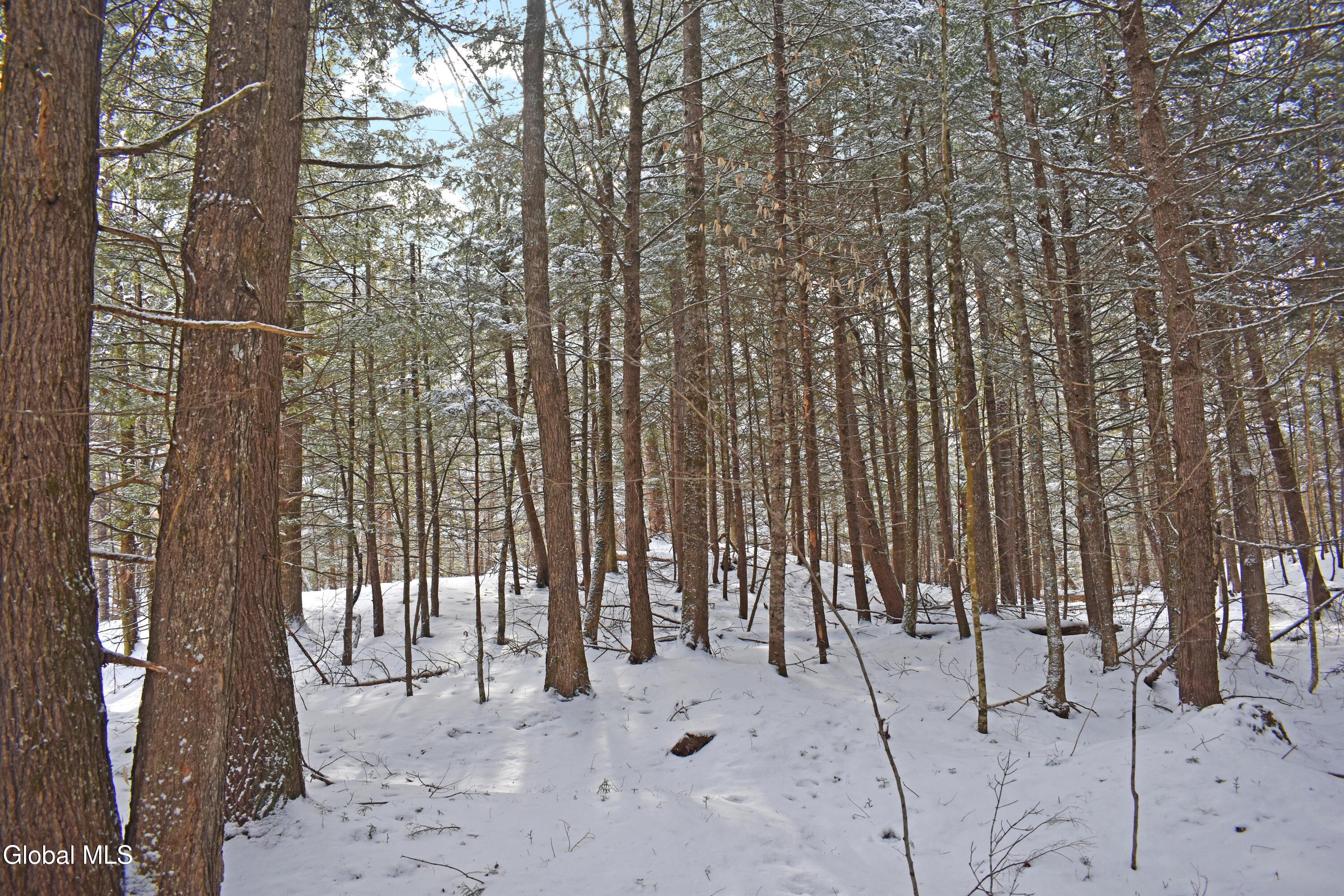62 Carriage Knolls Road Chester, NY 12817 - Photo 9 of 23 DSC_0406