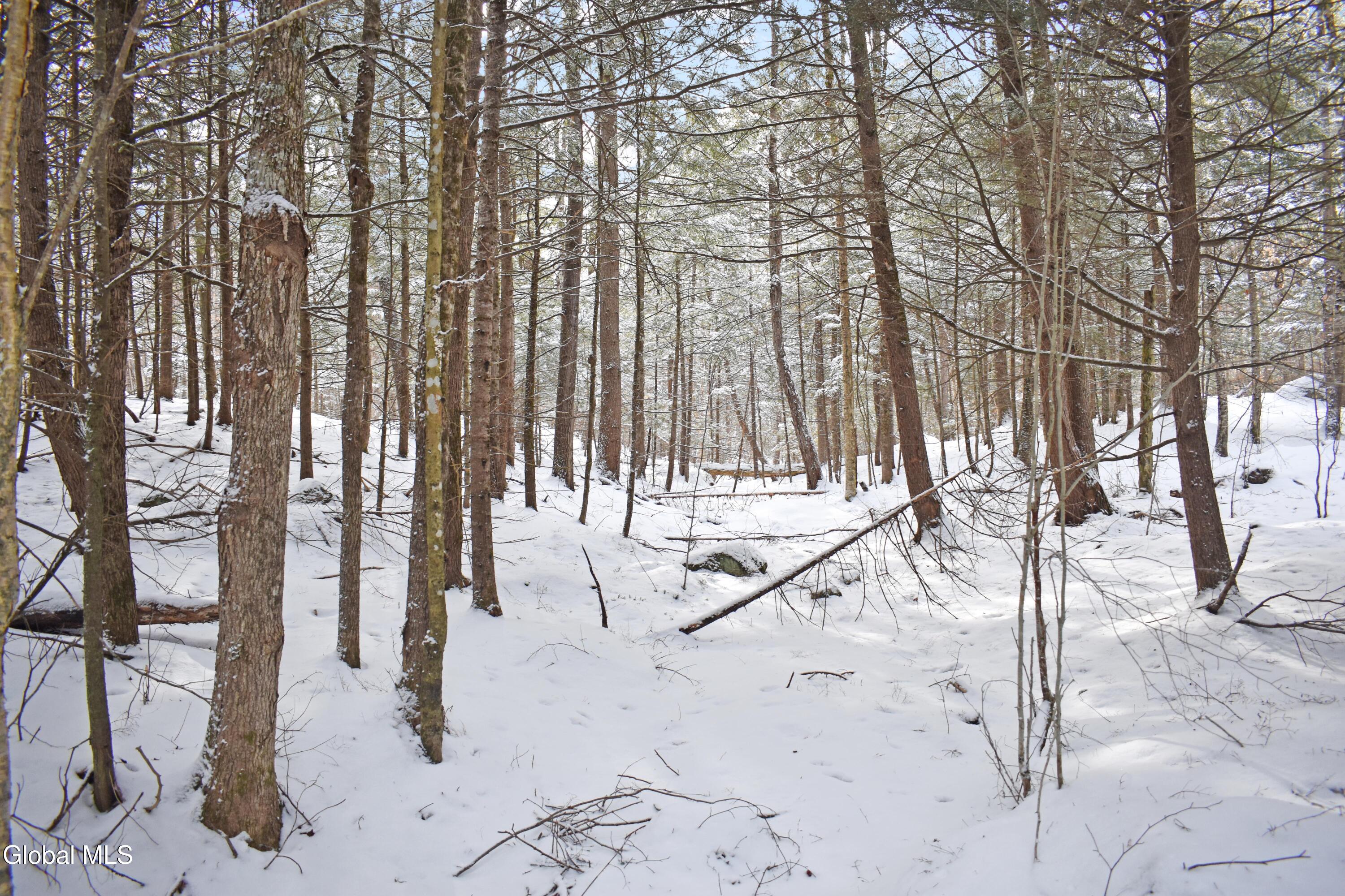 62 Carriage Knolls Road Chester, NY 12817 - Photo 10 of 23 DSC_0407