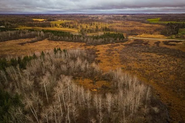 $550,000 | Tbd 141st Avenue, Bagley, MN 56621