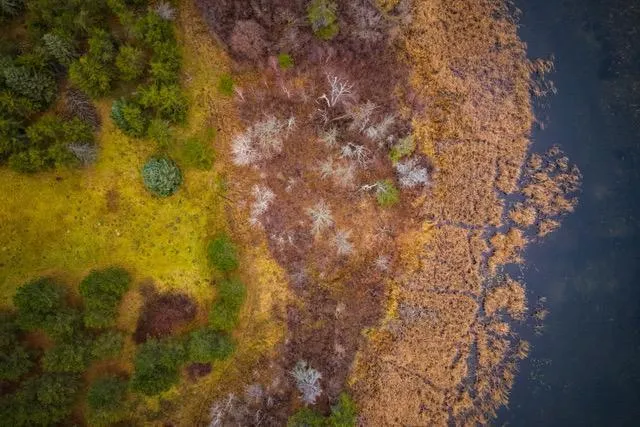 $550,000 | Tbd 141st Avenue, Bagley, MN 56621